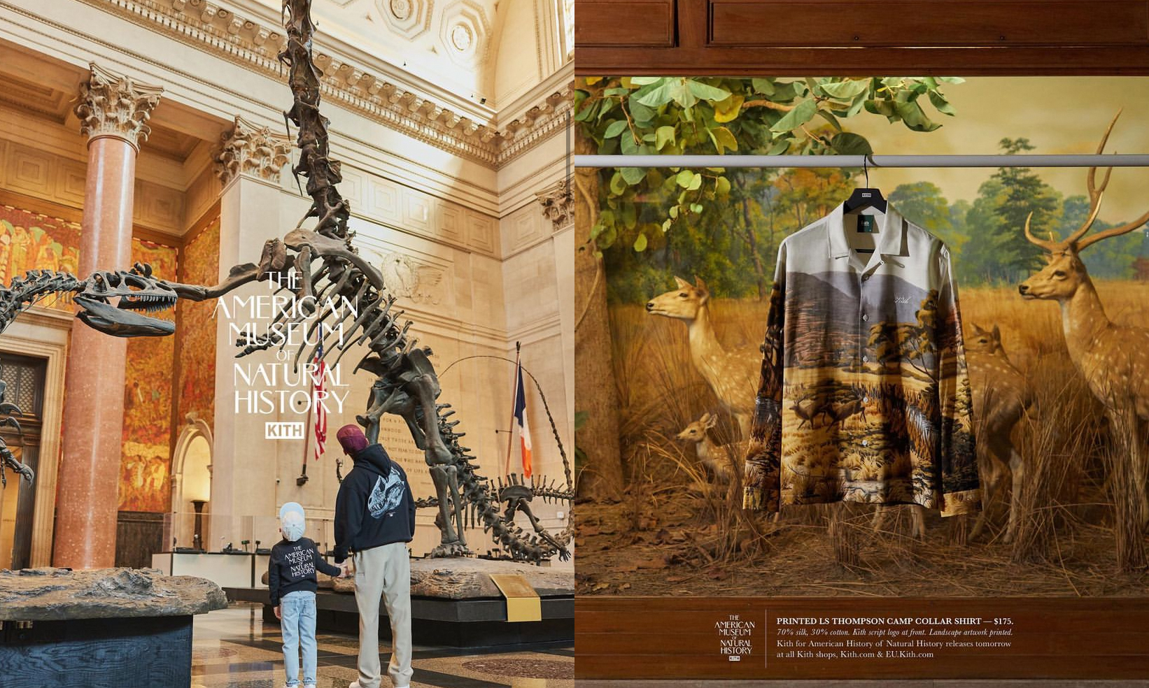 American Museum of Natural History 与 KITH 发布合作系列
