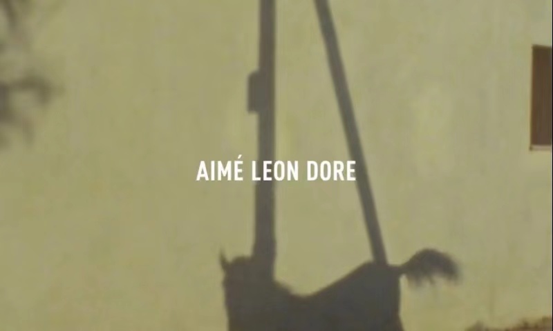 Aimé Leon Dore 2022 秋冬系列宣传片释出