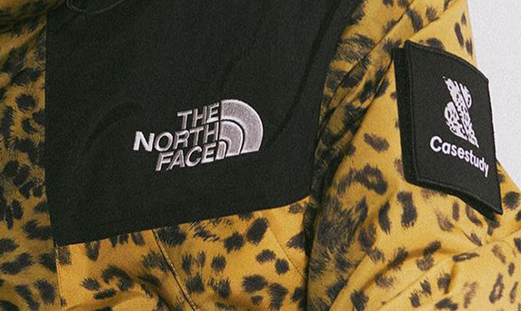 Casestudy x THE NORTH FACE 新系列曝光