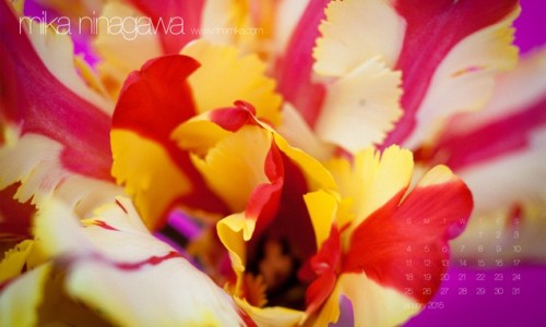 蜷川实花发布 2015 年 1 月日历壁纸