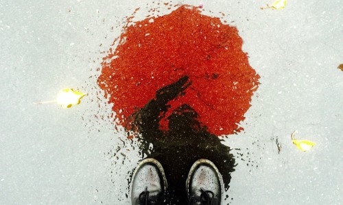 最好的手机摄影，Apple 推出「Shot on iPhone 6」全球征集作品展