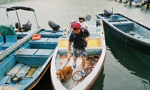 夏日清爽，Vans Summer Prints 系列即将上市