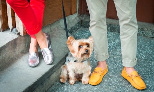 TOD’S “ Dots of Life ” 宠物与 Gommino 豆豆鞋创意摄影企划