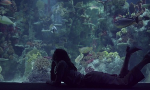 COS 携手 NOWNESS，为伦敦当代音乐节拍摄「The Jellyfish」音乐短片