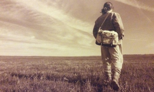 融入大自然的设计，TERRAPAX 包袋系列