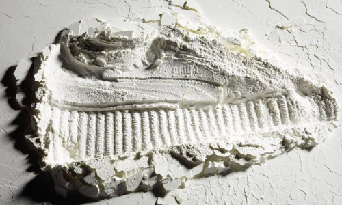 保持期待，PUMA by Rihanna Creepers 三款全新配色即将登场