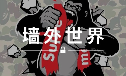 墙外世界 VOL.31 |   别人去 Supreme 排队，他却去砸店