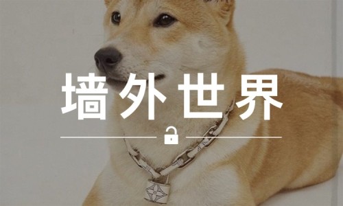 墙外世界 VOL.32 | 很多人还没摸过的 LV ，这只狗已经戴上了