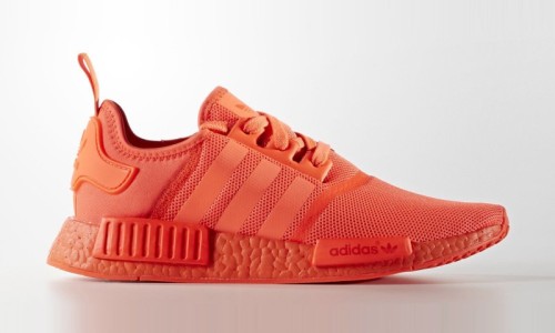 或许未来 NMD 也将被注入 “adicolor” 基因