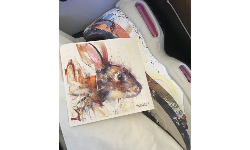 Dave White x Nike 联名 Air Max 95 谍照曝光