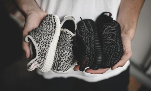 明天发售的小椰子，买不到也未必是坏事