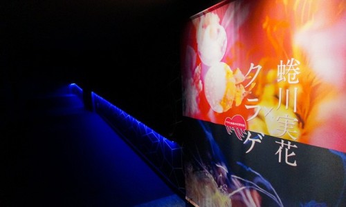 蜷川实花 「水母万花筒隧道」 展览再度开启