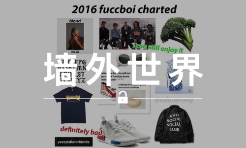 墙外世界 VOL.158 | 2016 “跟风族（gǒu）” 最喜爱单品，你躺枪了吗？