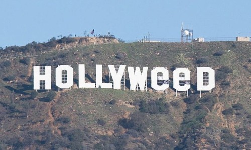 亮了，好莱坞标志新年第一天就变成了 “好莱麻”