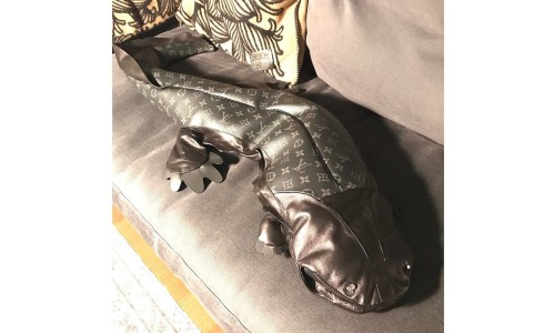 难道这条巨型 “娃娃鱼” 也是 fragment design x Louis Vuitton 的其中一员？