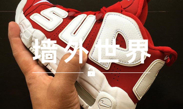 墙外世界 VOL.242 |  你说，这双大 “Sup” 童鞋到底是真还是假？