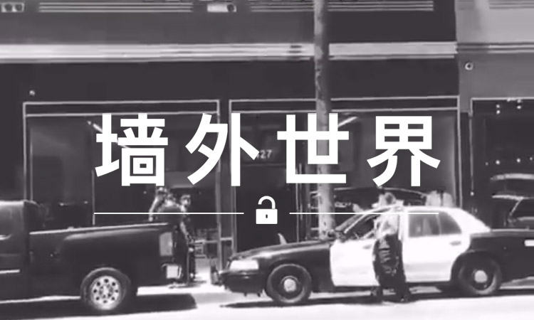 墙外世界 VOL.247 | 某卖假潮店被封，来看看网友的反应