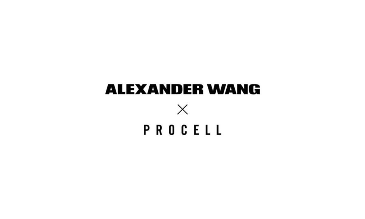 Alexander Wang 携手 Procell 释出 Vintage Hip-Hop T-Shirt 系列