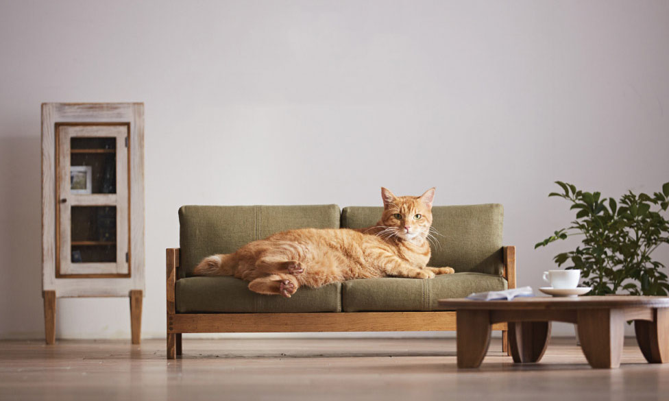 专门为猫设计的日系小型家具