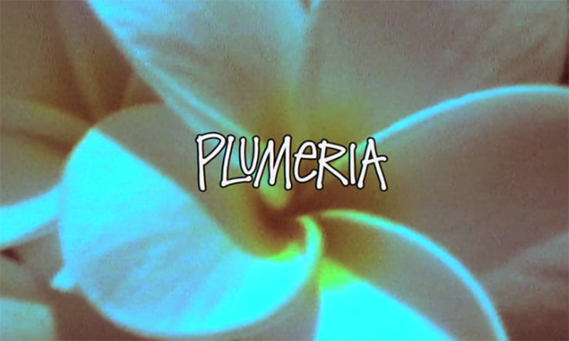 Stüssy 发布全新视频  “PLUMERIA”