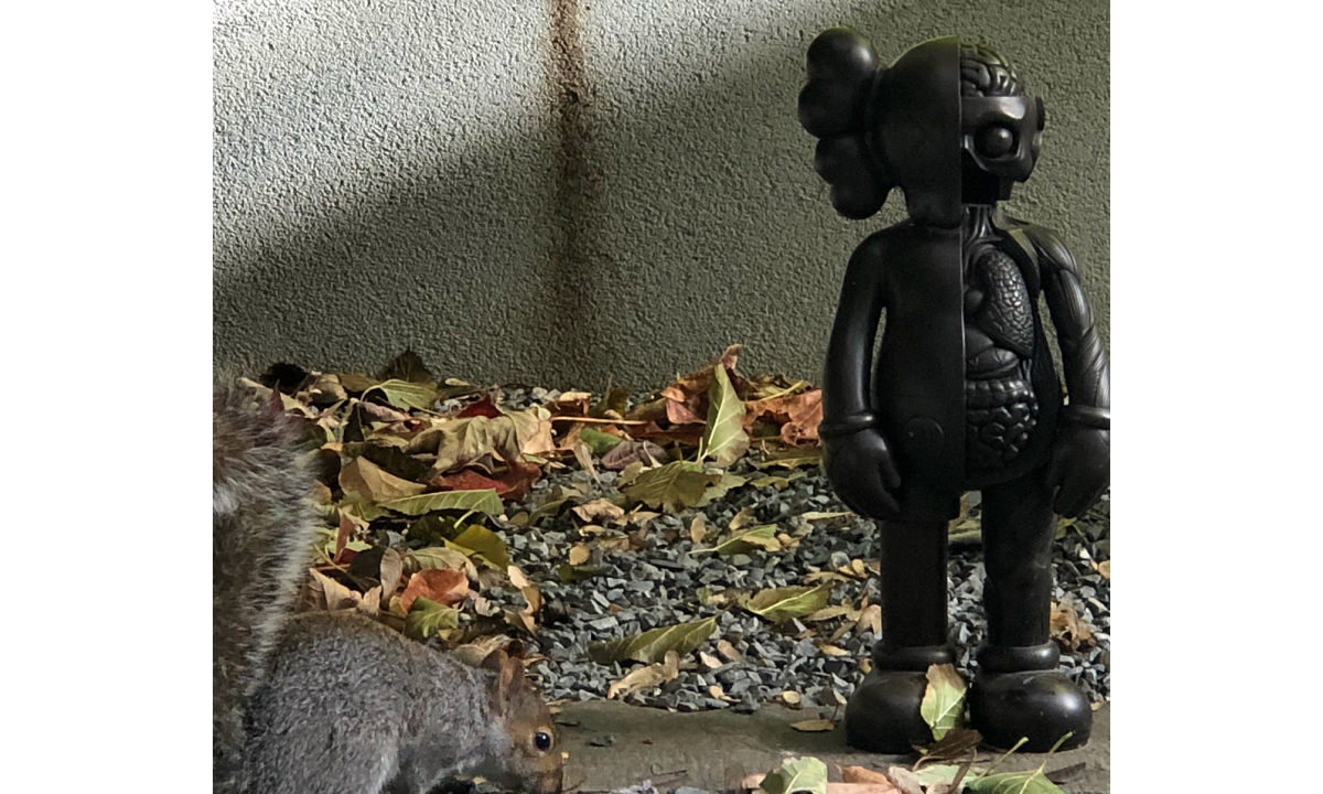 KAWS 曝光黑色 Companion 解剖版本玩偶