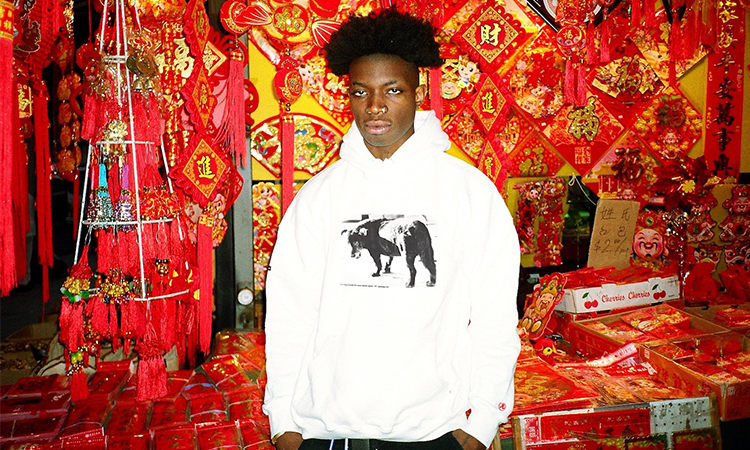 DSM 联手众品牌推出 “Year of the Dog” 新年胶囊系列