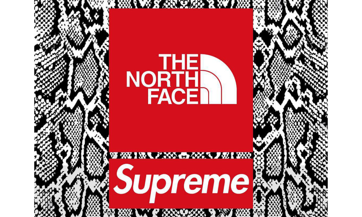不喜欢金银铜？Supreme x THE NORTH FACE 可能还准备了蛇鳞纹给你