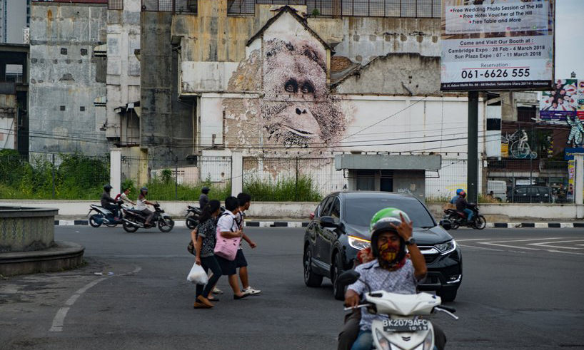 街头艺术家 Vhils 全新作品呼吁关注濒危动物