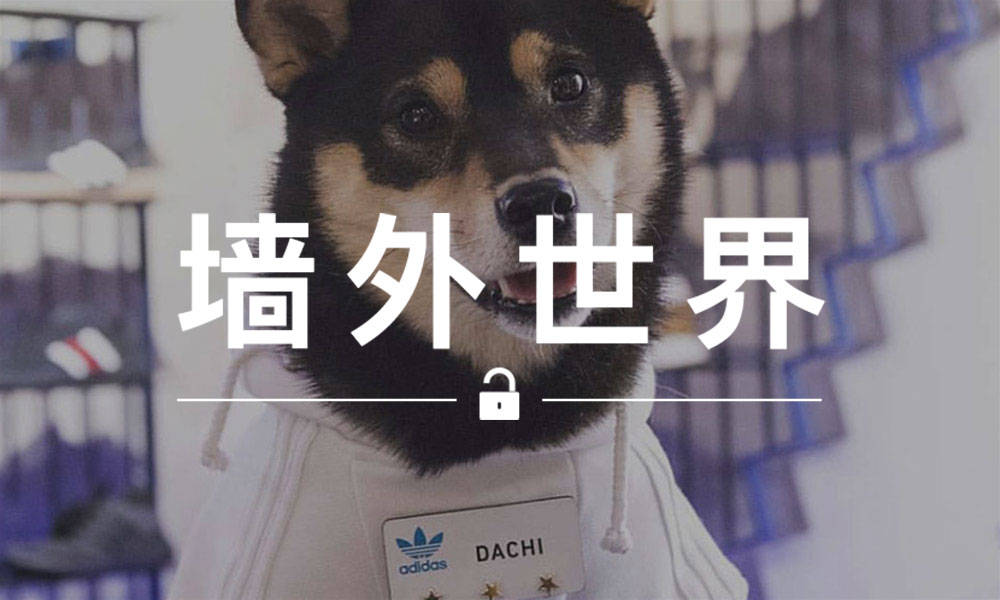 墙外世界 VOL.445 | 今天的 adidas 店员，是一只宠物狗？