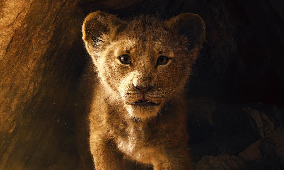 《狮子王》重制版先导预告片震撼发布