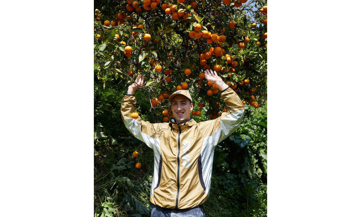 PALACE 2019 夏季系列即将发布