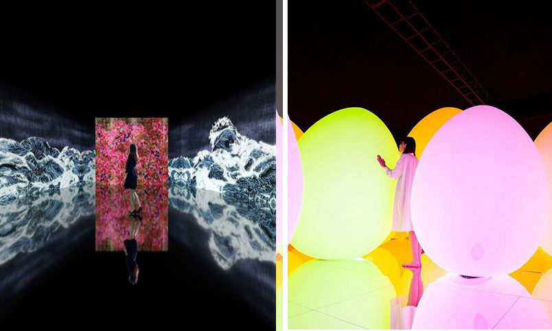 “teamLab：生命之森与未来游乐园” 即将登陆广州
