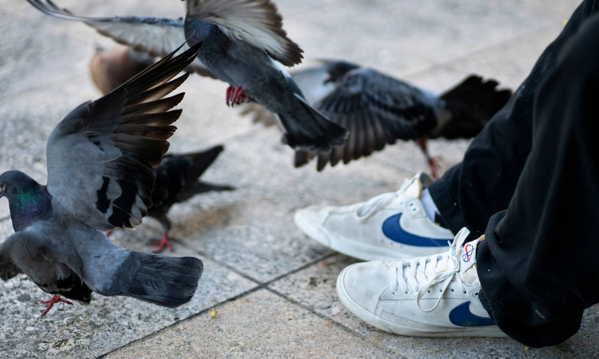 沈阳 FOSS 将联手 Nike SB 带来 “Reborn Your Street” Pop-up 滑板活动
