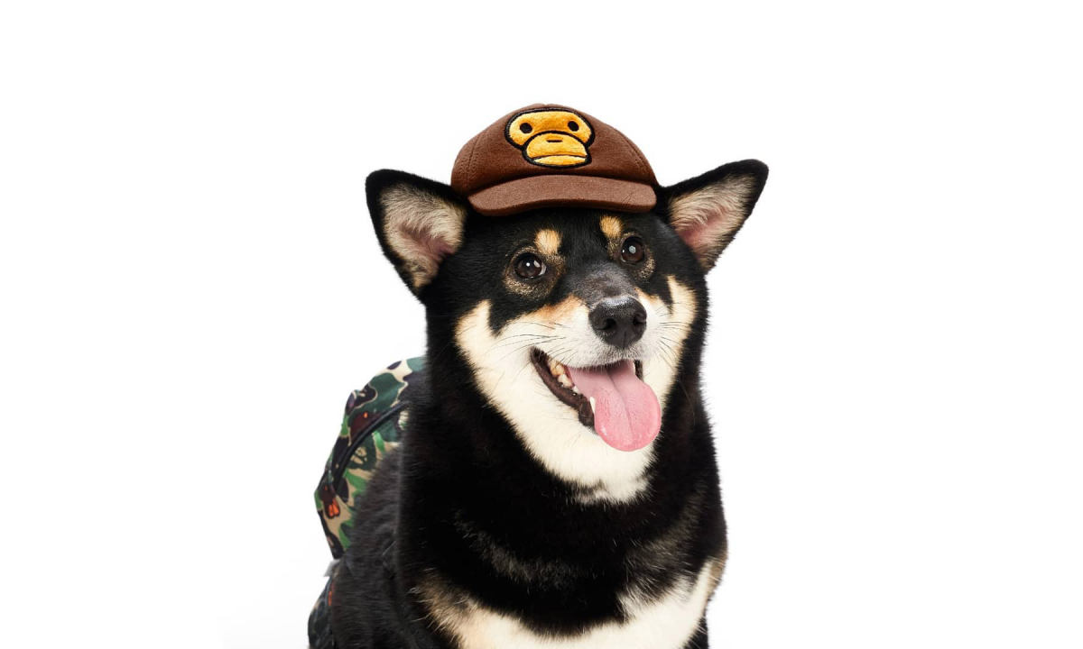 爱犬必备，BAPE® 推出 BABY MILO® 宠物单品