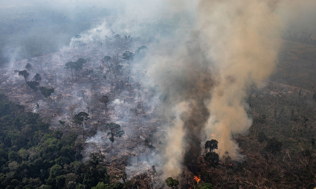 LVMH 集团出资 1100 万美元帮助扑灭亚马逊雨林大火