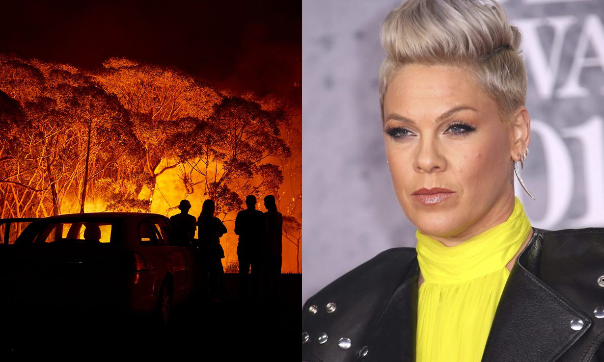 澳洲山火伤亡加剧，歌手 Pink 募捐 50 万美元予以消防救援