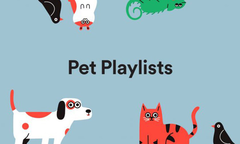 让宠物与你一同享受音乐，Spotify 新增宠物专属功能