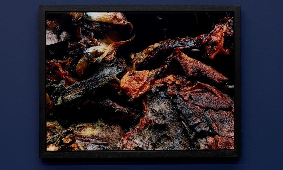 时尚摄影师 Willy Vanderperre 个展登录线上展示