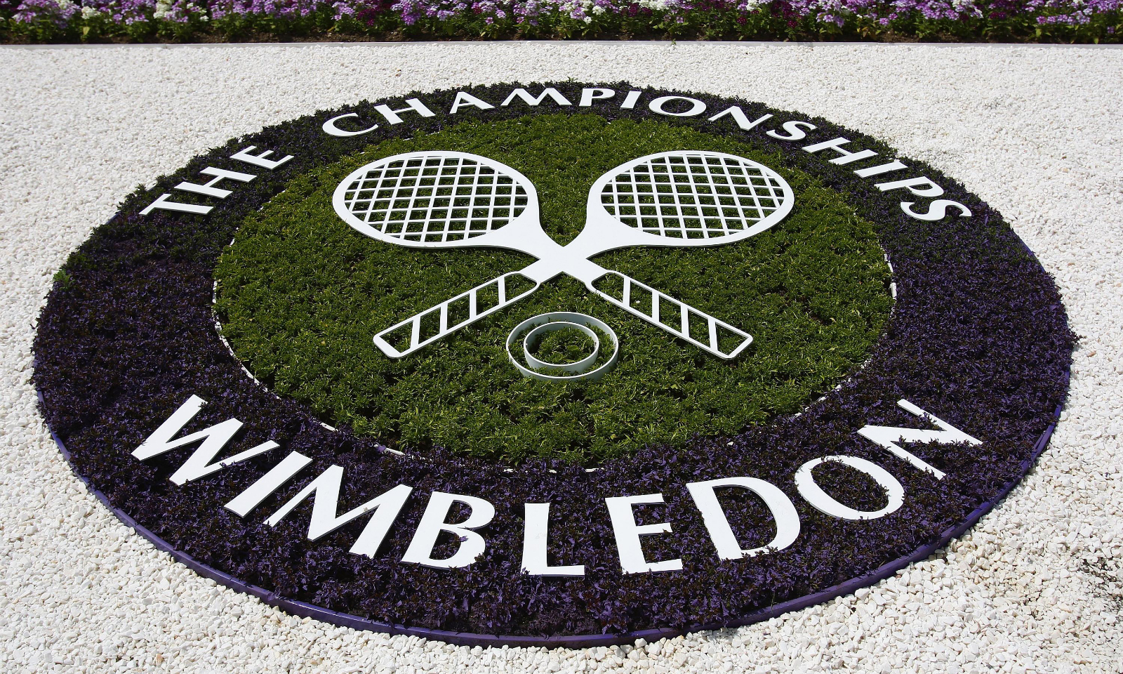 2020 年温布尔登网球公开赛正式取消