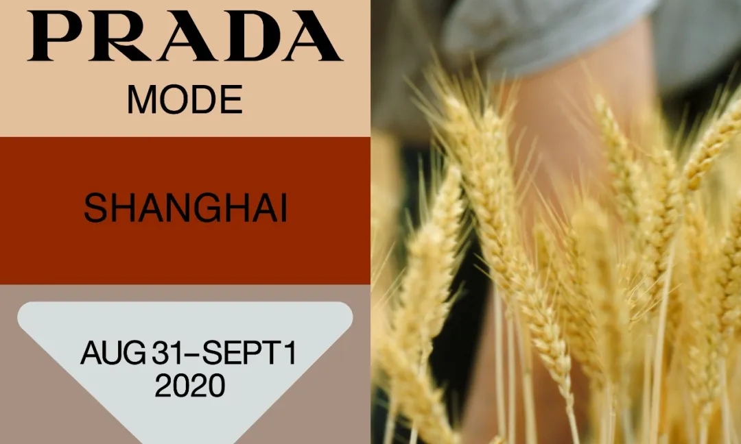 贾樟柯将携手 Prada 共同呈现 Prada Mode Shanghai 私人文化俱乐部