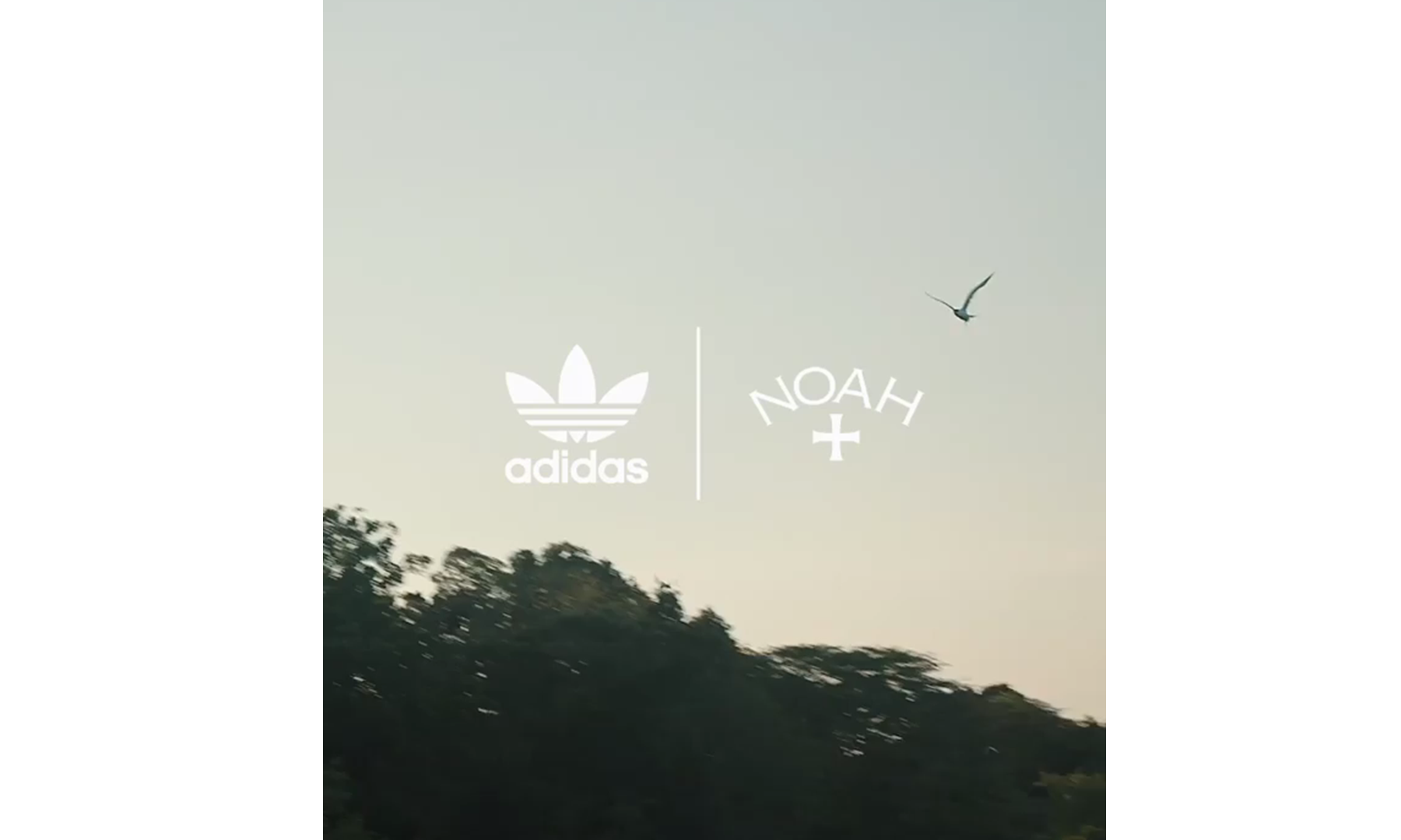 NOAH x adidas Originals 联乘预告公开