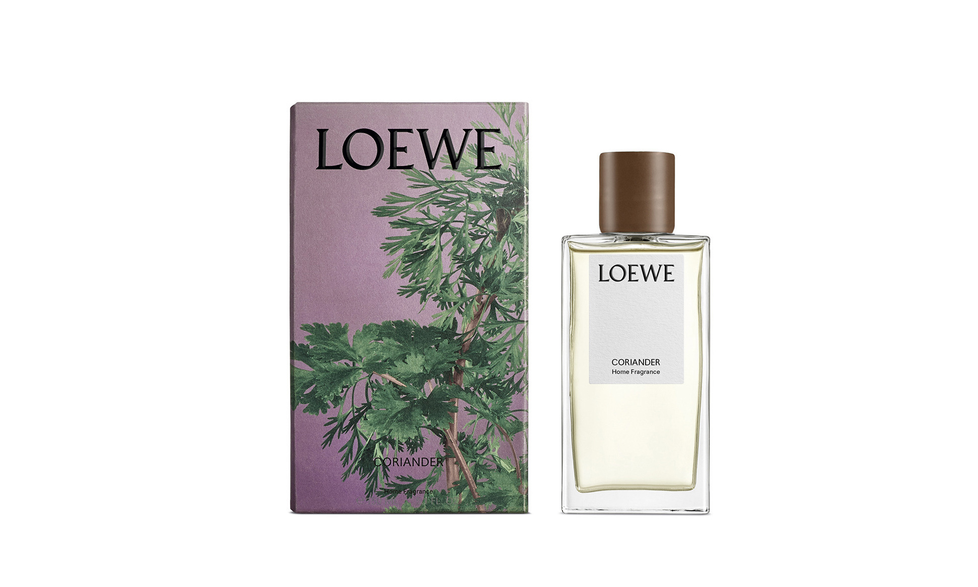 LOEWE 推出香菜味香薰蜡烛与香水