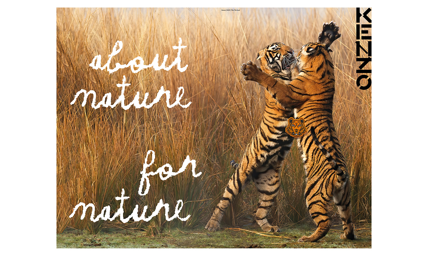 KENZO 推出全新老虎胶囊系列，支持 WWF 野生虎保护项目