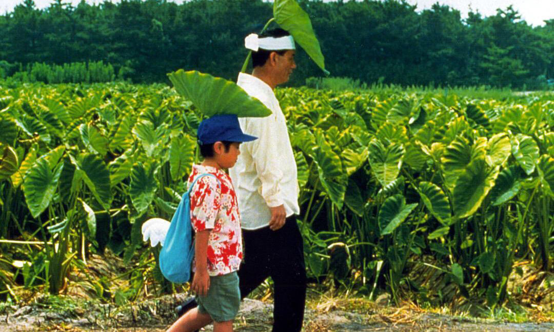 《菊次郎的夏天》内地正式定档 9 月 25 日
