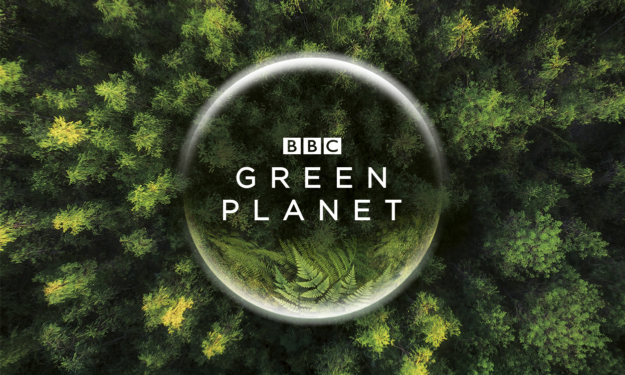 B 站携手 BBC 联合出品，自然历史大制作《绿色星球》即将上线