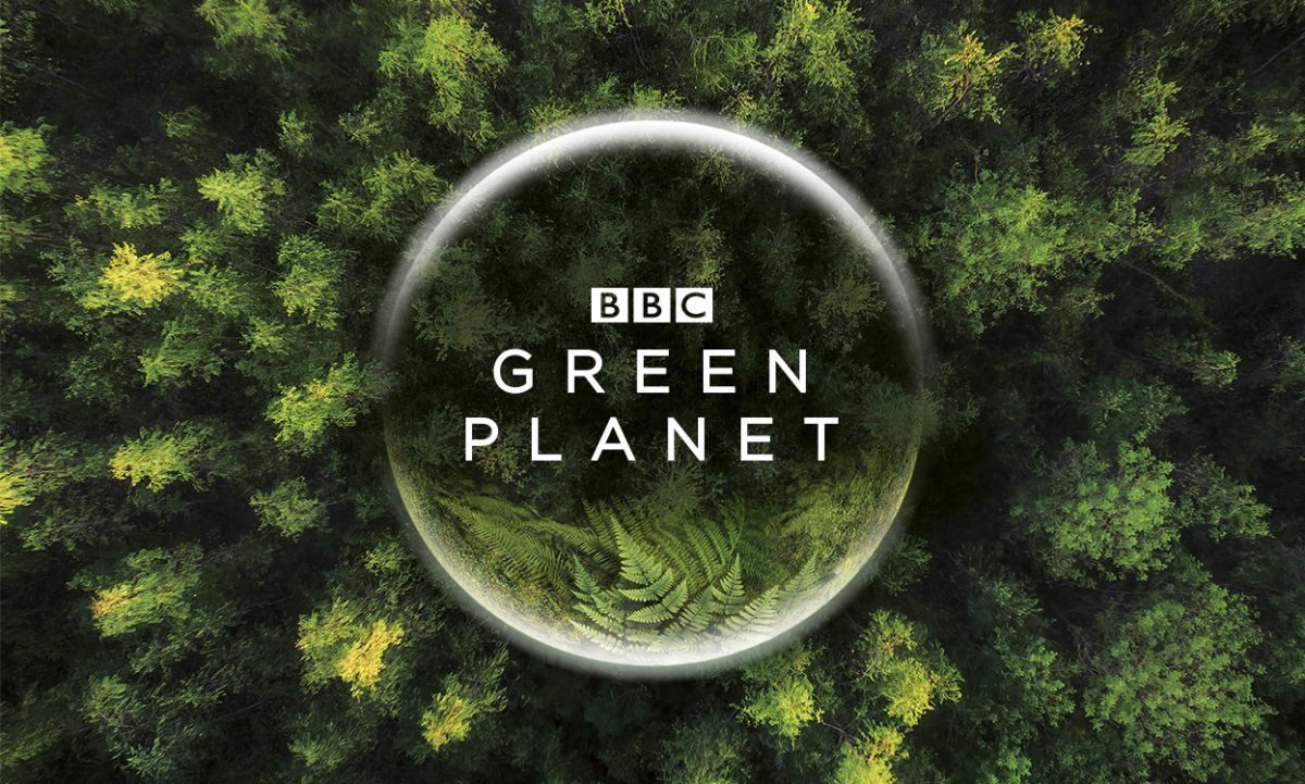 B 站携手 BBC 联合出品,自然历史大制作《绿色星球》即将上线