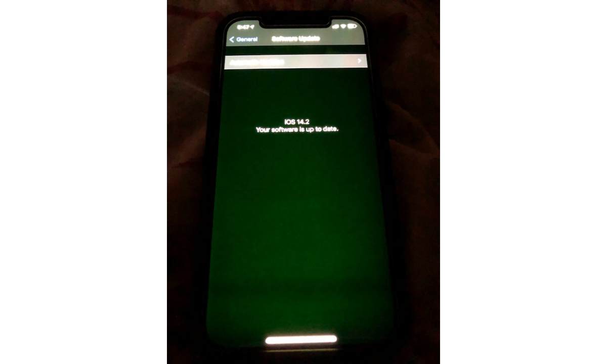 苹果首次回应 iPhone 12 系列绿屏问题：确认存在并正在调查