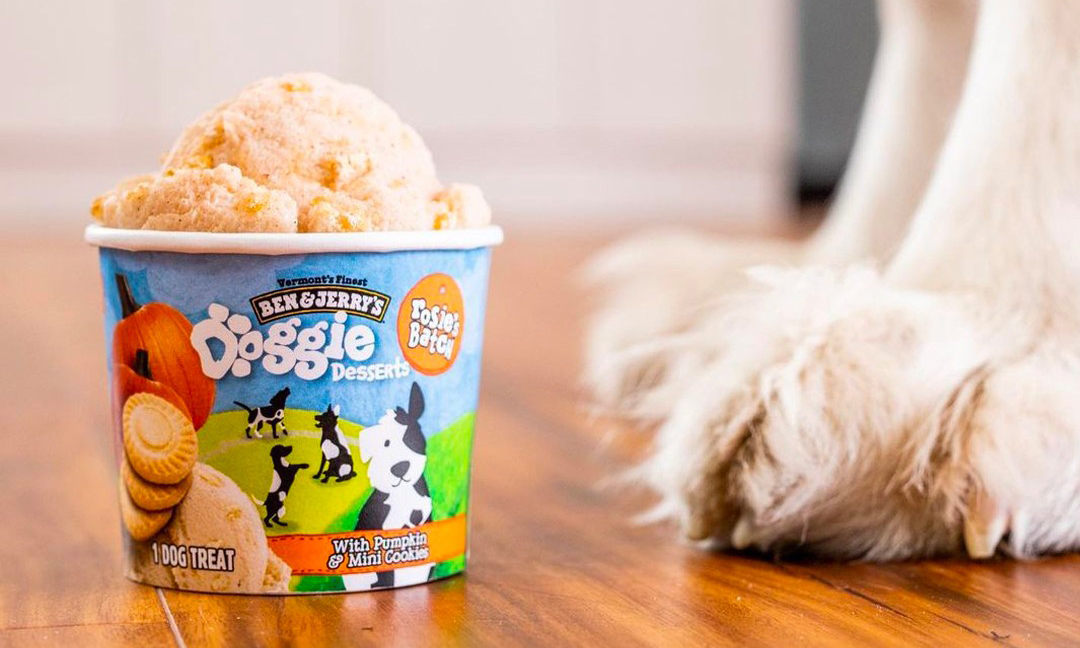 爱犬专享，Ben & Jerry’s 推出「Doggie Desserts」冰淇淋系列