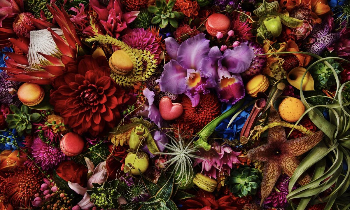 著名甜品店 Pierre Hermé 联手花卉艺术家 Azuma Makoto 推出白色情人节特别商品