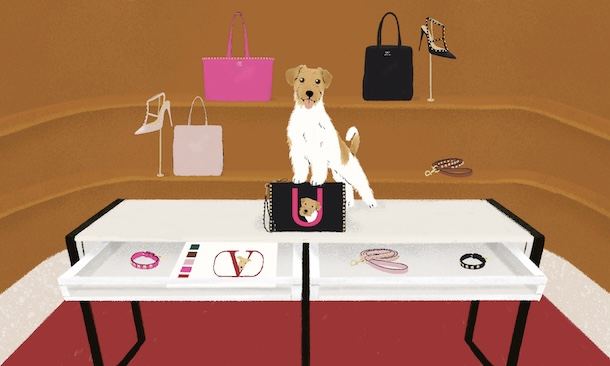 VALENTINO GARAVANI 推出全新宠物服装系列